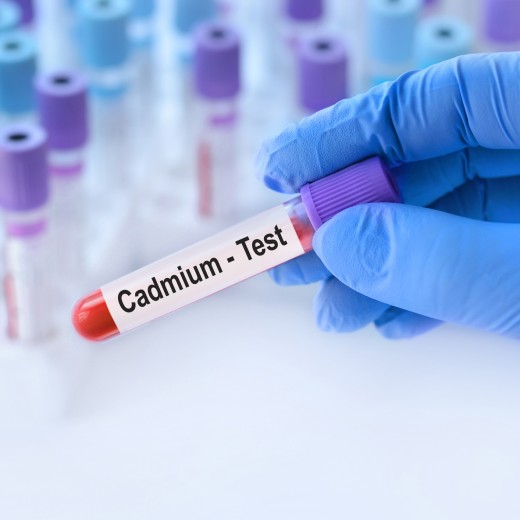 cadmium-danger-alimentation