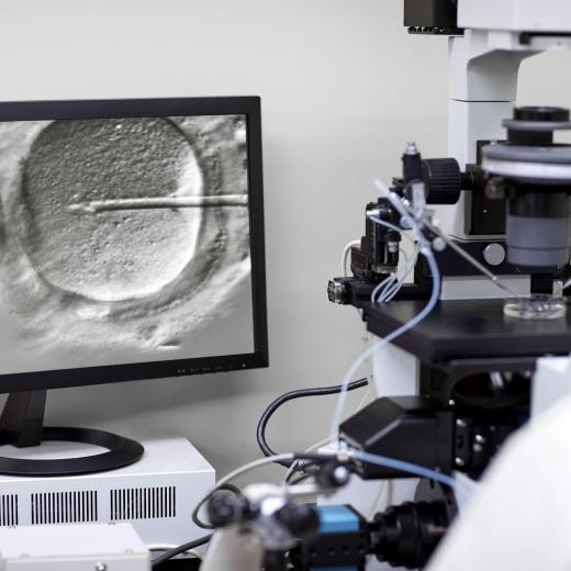 timelapse-fertilité-cerballiance