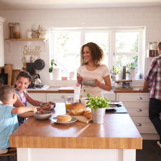 famille perturbateurs endocriniens