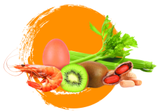 equilibrealimentaire